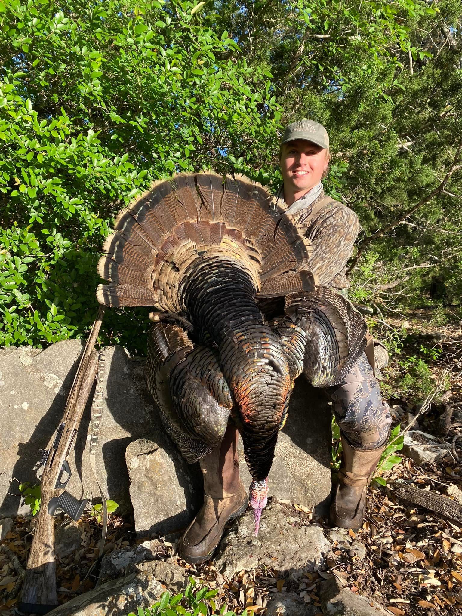 Rio Grande turkey with full tail fan