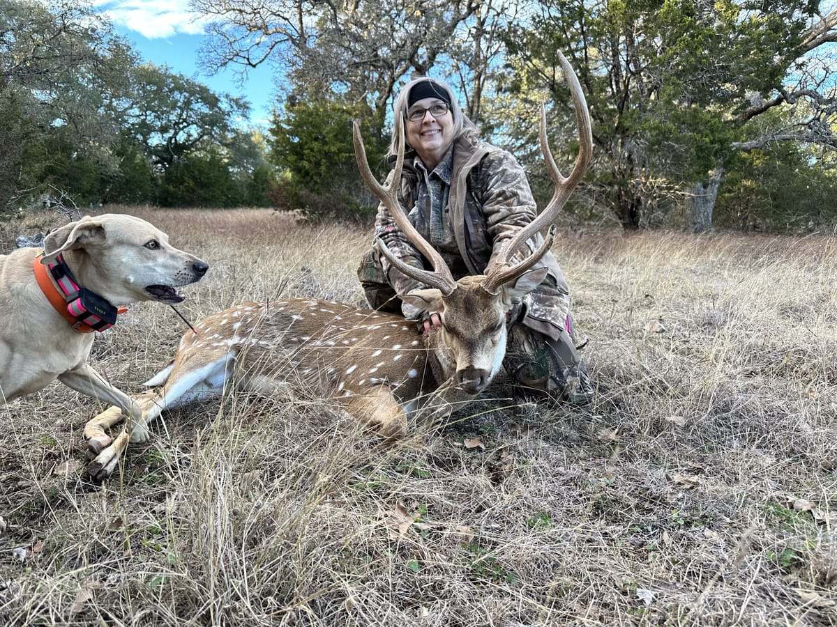 Axis deer with retriever