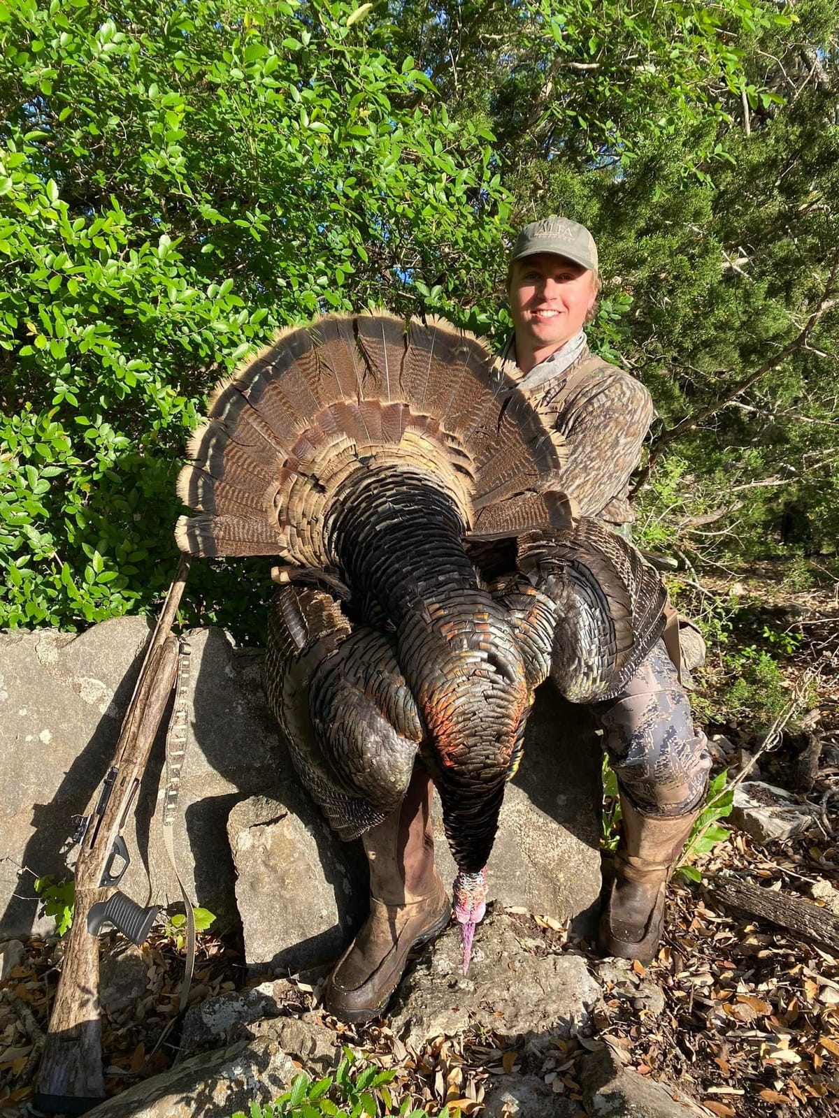 Rio Grande turkey fanning